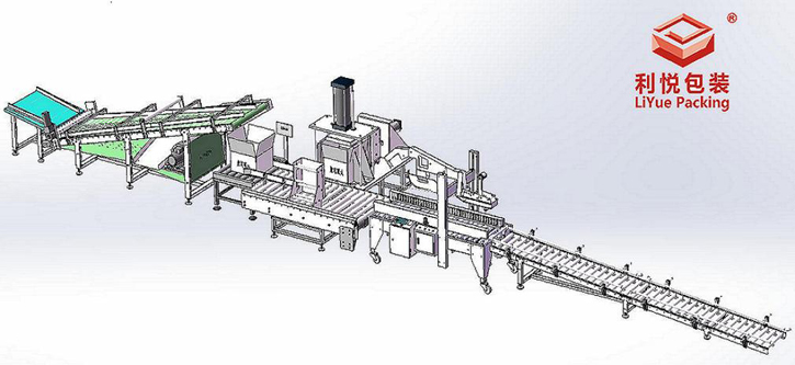利悅黃花菜自動(dòng)裝箱機(jī)