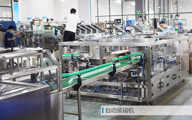 自動(dòng)裝箱機(jī)